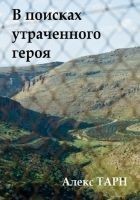 Читать книгу В поисках утраченного героя