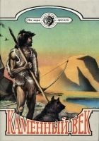 Читать книгу Каменный век
