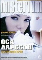 Читать книгу Солнечная буря