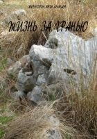 Читать книгу Жизнь за гранью