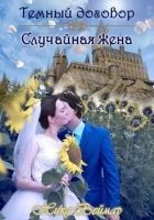 Читать книгу Случайная жена