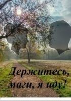 Читать книгу Держитесь, маги, я иду! (СИ)