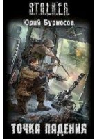 Читать книгу Точка падения