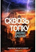 Читать книгу Сквозь Топку