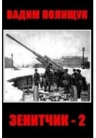 Читать книгу Зенитчик-2