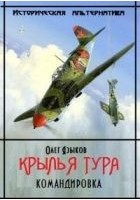 Читать книгу Крылья Тура. Командировка