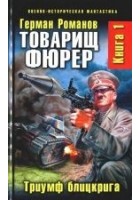 Читать книгу Триумф блицкрига
