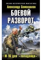 Читать книгу Боевой разворот. И-16 для «попаданца»